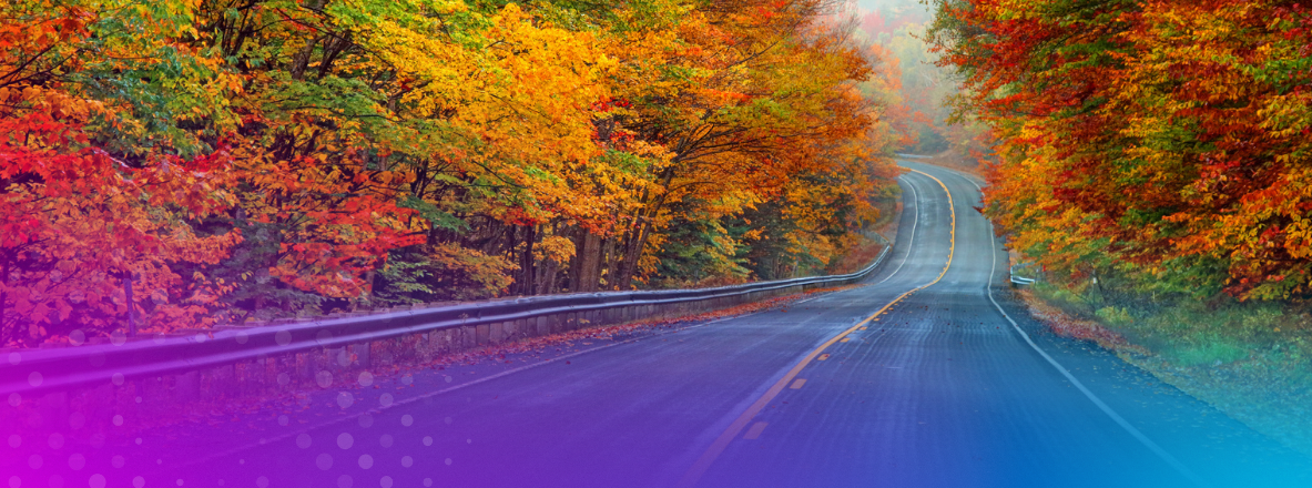 fall road
