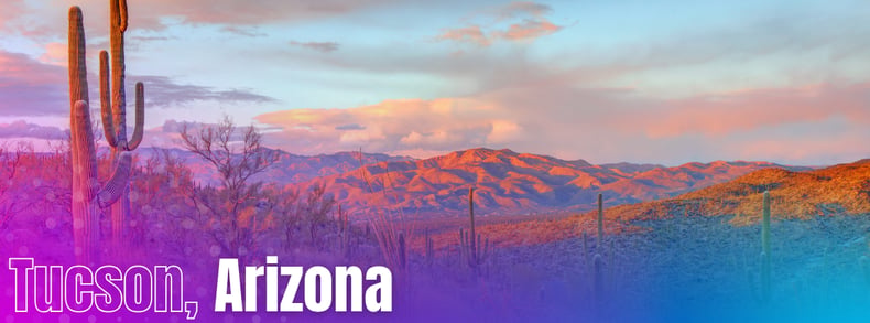 image of desert countryside and cacti in Tucson, Arizona