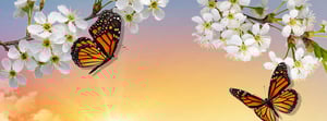 flowering tree with butterflies