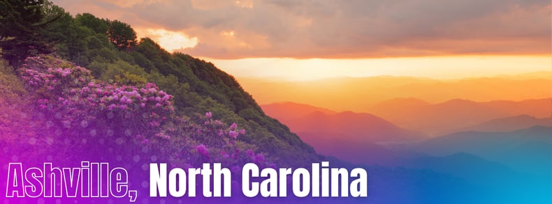 wildflowers and shrubs on the blue ridge mountains during sunset in Asheville, NC