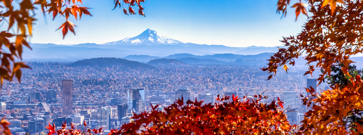 portland oregon skyline