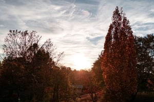 Virginia