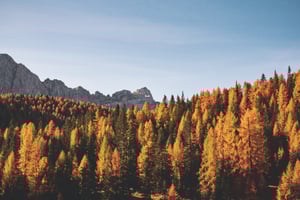 fall mountain view