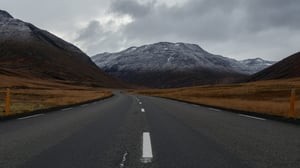 scenic view from car
