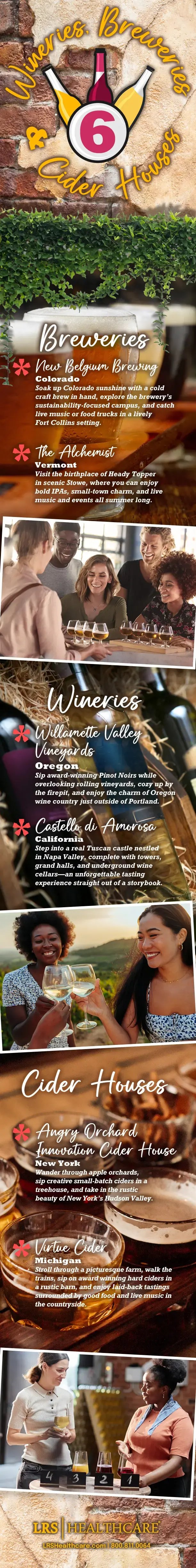 infographic for the top wineries, breweries and cider houses