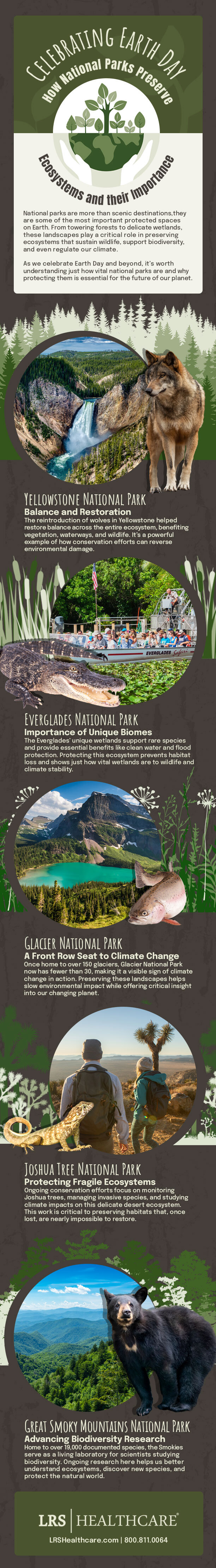 infographic celebrating earth day with top five national parks and animals that live there