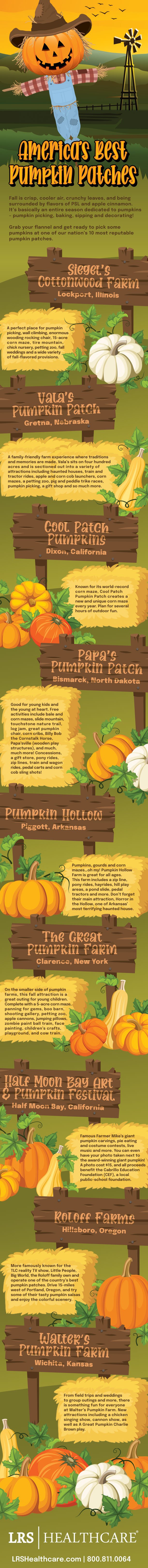 pumpkin patch infographic