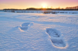 footprints in the snow